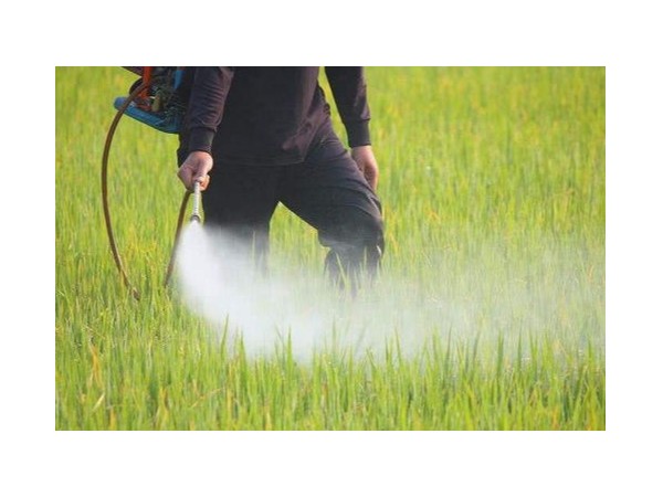 农药剂型有哪几种呢？