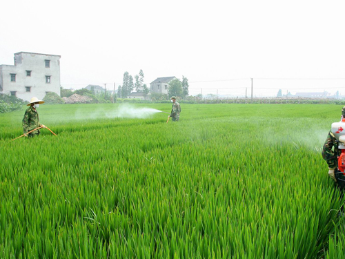 农业农药黄瓜视频WWW.XY17APP制备